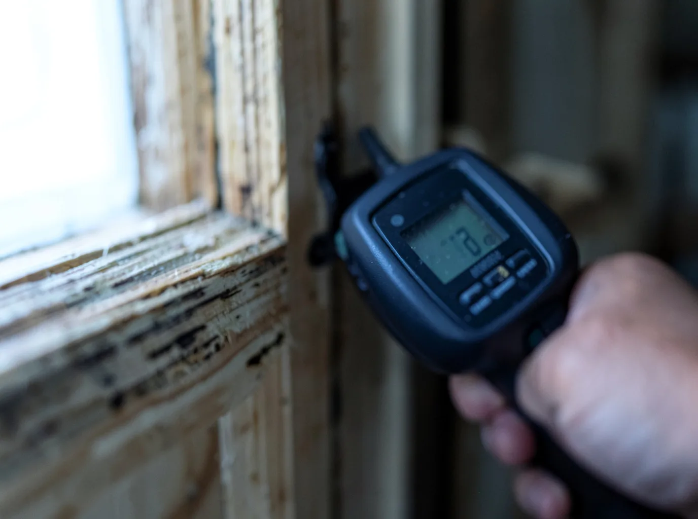 Moisture Inspection And Documentation in Monument Valley, UT